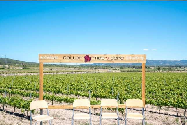 Visita Guiada y Cata de Vino en Celler Mas Vicenç (Cabra del Camp, Tarragona)