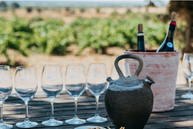 Walk and Wine: Ruta Libre por los Viñedos, Visita Guiada y Cata de Vino en Celler Mas Vicenç (Cabra del Camp, Tarragona)