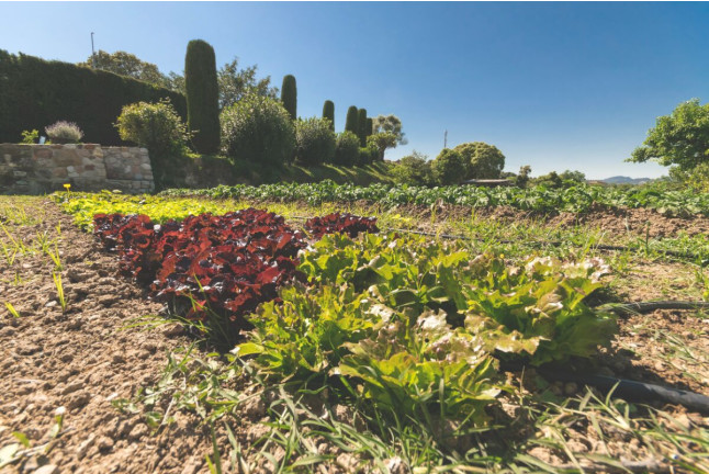 Escapada en Habitación o Cabaña con Desayuno en Masia Rural Can Caponet (Lliçà d'Amunt, Barcelona)