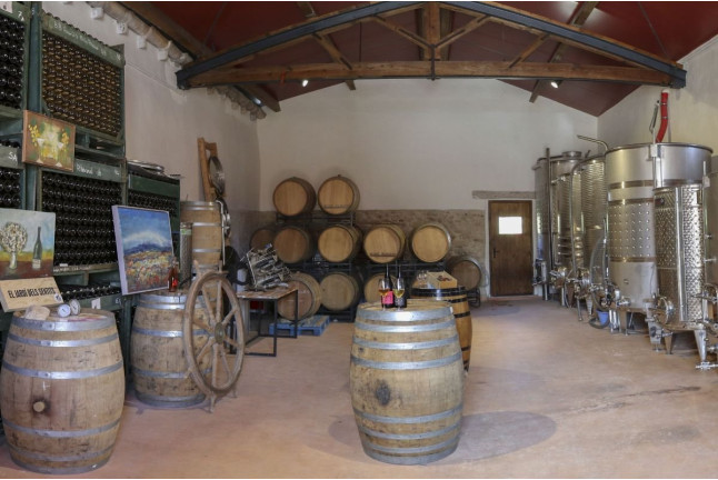 Visita a la Bodega y Viñedos El Jardí dels Sentits, Cata y Masterclass de Vinos para dos (Sant Sebastià dels Gorgs, Barcelona)