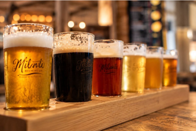 Cata de Cerveza Milana con Maridaje y Comida (Valladolid)