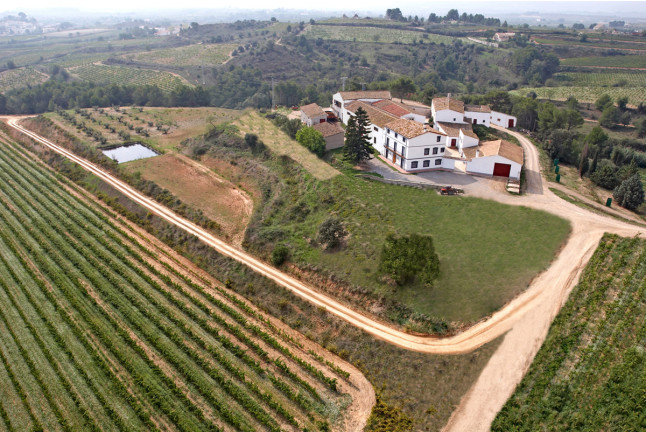 Visita a Bodega Miquel J. Jané y Cata de 3 vinos para dos (Barcelona) 