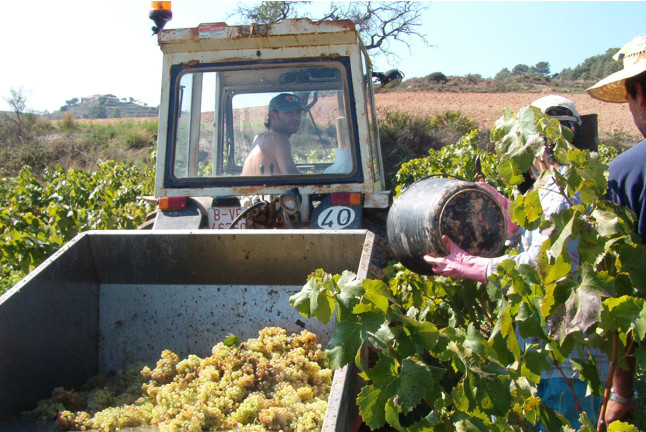 Visita a Bodega Miquel J. Jané y Cata de 3 vinos para dos (Barcelona) 