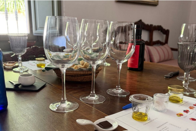 Cata La Esencia del Olivo: Paseo por los Olivares y Experiencia Sensorial de AOVE con Maridaje para dos en Molino del Arco (Ronda, Málaga)