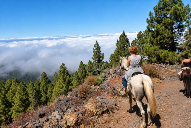 Paseo a Caballo para dos (Icod de los Vinos, Tenerife)