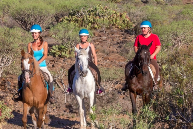 Paseo a Caballo (El Salobre, Gran Canaria)
