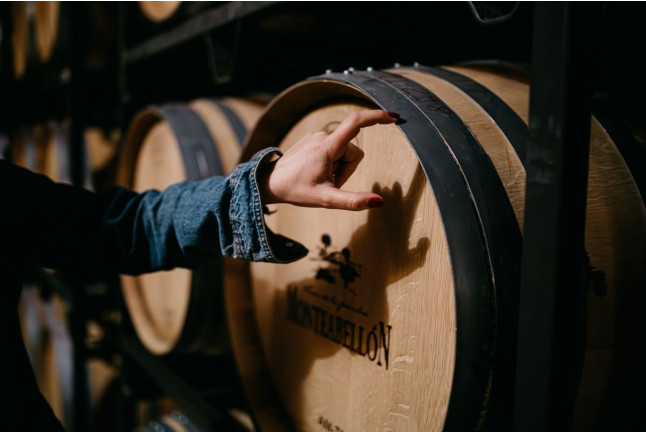 Experiencia Matambres: Visita a Bodega y Cata de Vino para dos en Bodegas Monteabellón (Nava de Roa, Burgos)