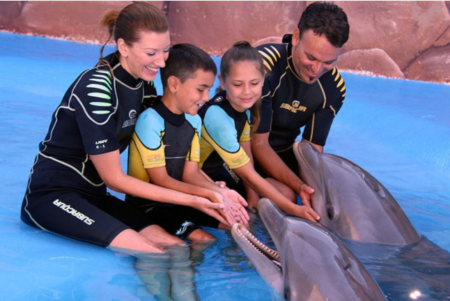 Entrada a Mundomar y Encuentro con Delfines (Benidorm, Alicante)