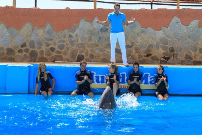 Entrada a Mundomar y Encuentro con Delfines (Benidorm, Alicante)