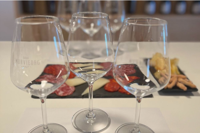 Visita Schenk: Visita a Bodega con Cata de Vinos Premium y Maridaje de Ibéricos en Bodegas Murviedro (Requena, Valencia)