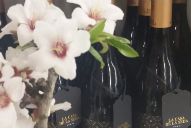 Visita Schenk: Visita a Bodega con Cata de Vinos Premium y Maridaje de Ibéricos en Bodegas Murviedro (Requena, Valencia)
