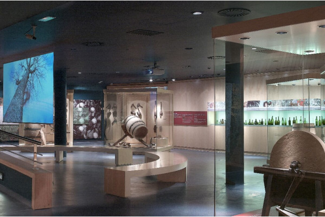 Visita a BODEGAS VIVANCO, Visita Libre al Museo, Degustación de 2 Vinos y Comida en Restaurante Panorámico (La Rioja)