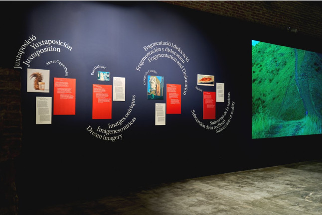 Entrada al Museum Nou (Barcelona)