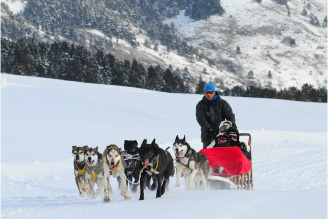 Mushing: Conducción de un Trineo con Perros Siberianos (Vall d'Aran)