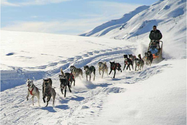 Mushing: Conducción de un Trineo con Perros Siberianos (Vall d'Aran)