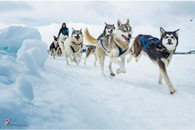 Mushing por la Senda de los Osos (Vall d'Aran, Lleida)