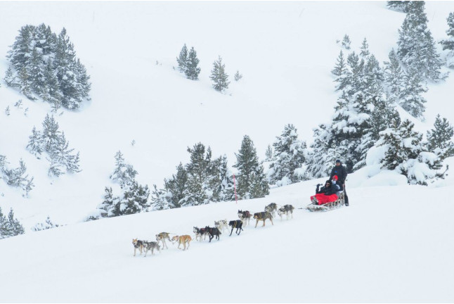 Mushing por la Senda de los Osos (Vall d'Aran, Lleida)