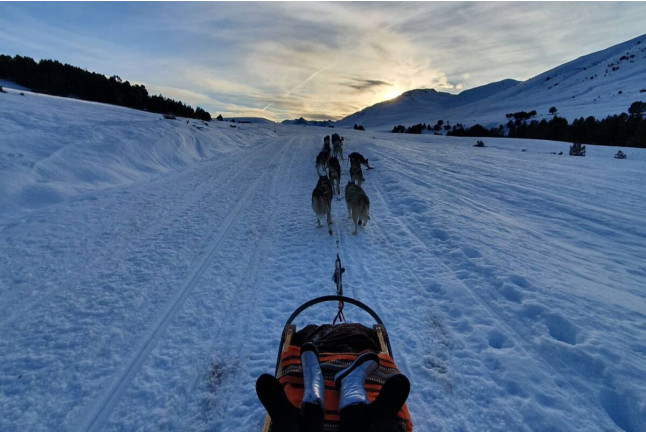 Mushing por la Senda de los Osos (Vall d'Aran, Lleida)