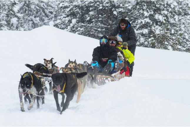 Mushing por la Senda de los Osos (Vall d'Aran, Lleida)
