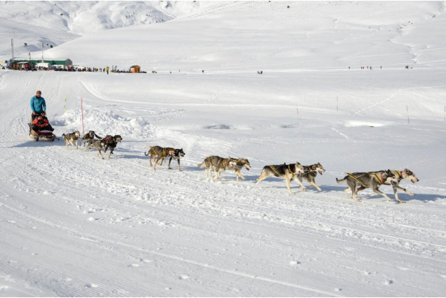 Mushing por la Senda de los Osos (Vall d'Aran, Lleida)