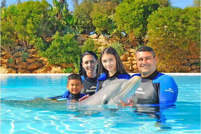 Dolphin Emotions Exclusive: Nadar con Delfines: Sesión Privada en Exclusiva y Entrada a Zoomarine para dos (Algarve, Portugal)