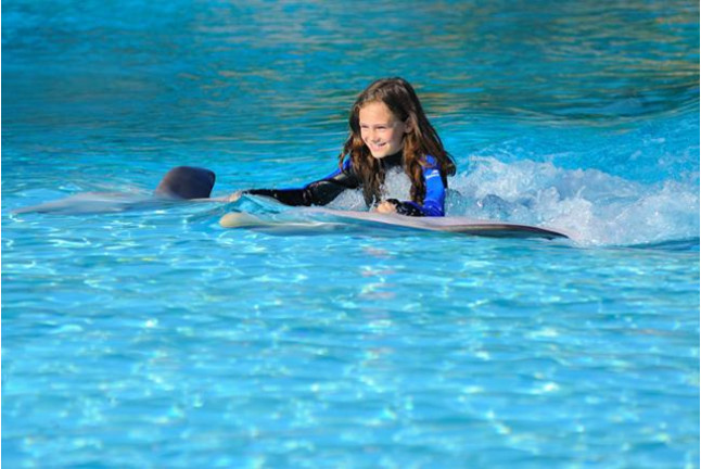 Dolphin Emotions Exclusive: Nadar con Delfines: Sesión Privada en Exclusiva y Entrada a Zoomarine para dos (Algarve, Portugal)