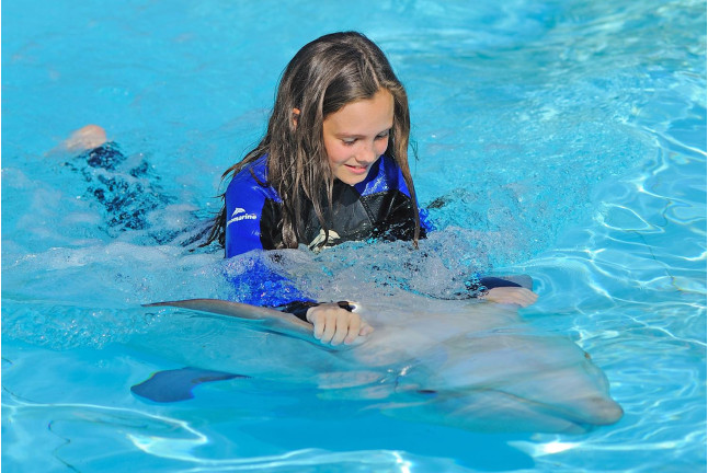 Dolphin Emotions Exclusive: Nadar con Delfines: Sesión Privada en Exclusiva y Entrada a Zoomarine para dos (Algarve, Portugal)