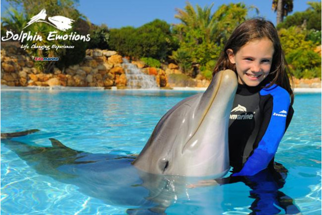 Dolphin Emotions Premium: Nadar con Delfines, Entrada a Zoomarine y Acceso para Acompañante (Portugal)