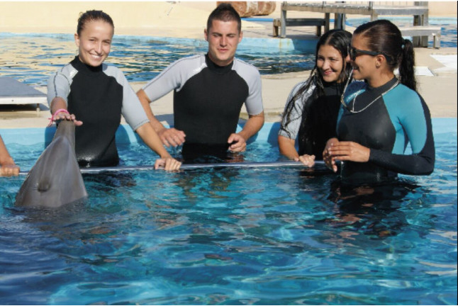 Encuentro con Delfines y Alojamiento en Hotel Ciutat de Tarragona 4* (Tarragona)