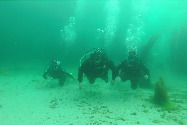 Bautismo de Buceo con Fotos y Vídeos (Vilagarcía de Arousa, Pontevedra)