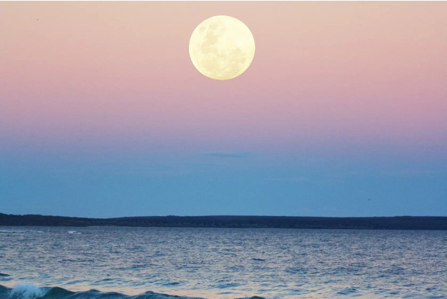 Navegación Nocturna Bajo la Luna Llena (Sotogrande, Cádiz)