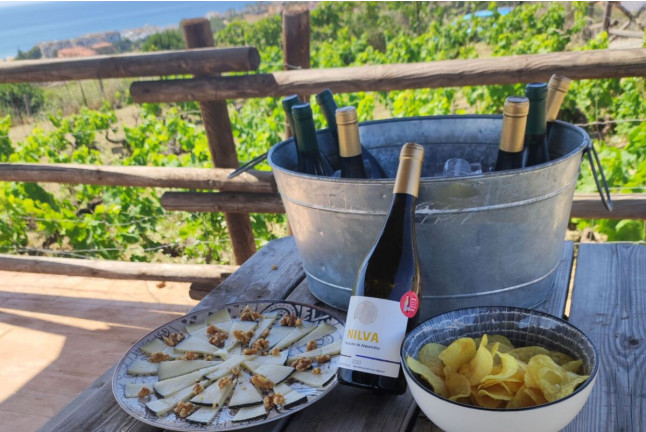 Visita a Bodega Nilva con Cata de Vinos y Tapas para cuatro personas (Manilva, Málaga)