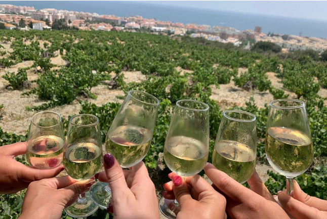 Visita a Bodega Nilva con Cata de Vinos y Tapas para cuatro personas (Manilva, Málaga)