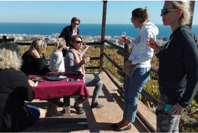 Visita a Bodega Nilva con Cata de Vinos y Tapas para cuatro personas (Manilva, Málaga)