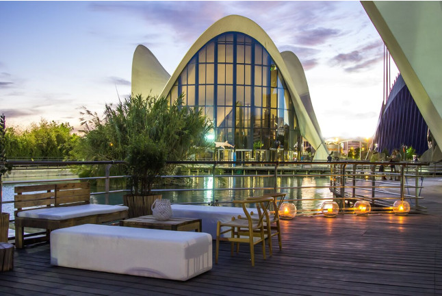 Entrada a Oceanogràfic y Experiencia "El Mar en tus Manos" (Valencia)