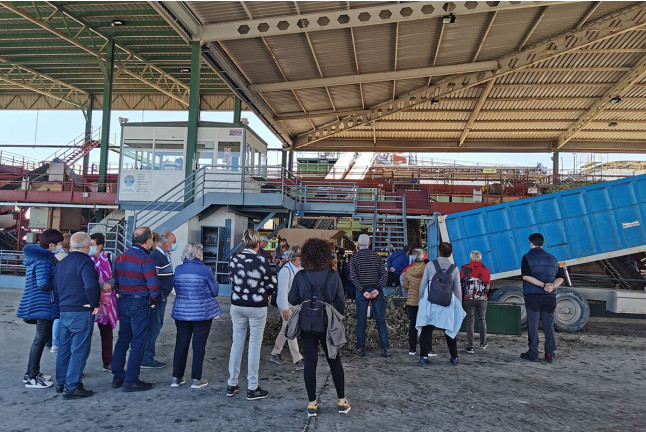 Visita a Oleotour Cazorla con Degustación de Aceites (Cazorla, Jaén)