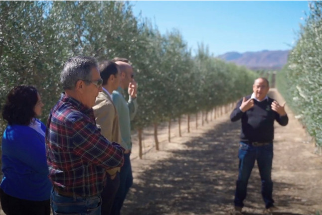 Visita Guiada a OleoAlmanzora con Degustación de AOVE para dos (Pulpí, Almería)