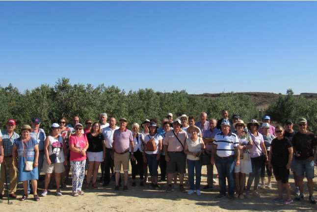 Visita Guiada a OleoAlmanzora con Degustación de AOVE para dos (Pulpí, Almería)