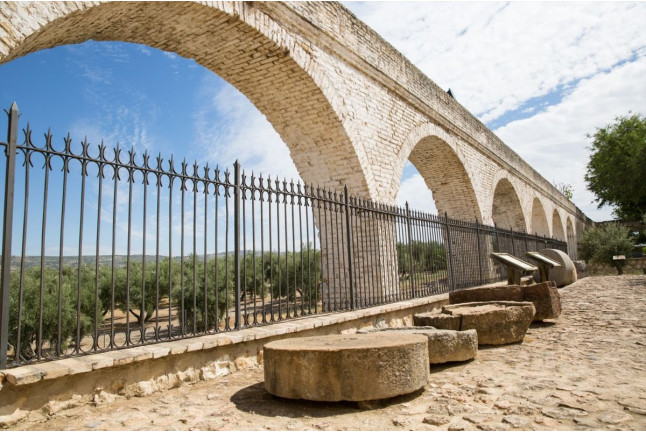 Oleoturismo ‘Hacienda La Laguna’: Entrada y Visita al Museo y Taller de Iniciación a la Cata de Aceites para dos (Puente del Obispo, Jaén)