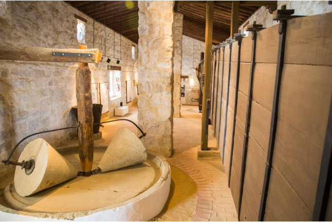 Oleoturismo ‘Hacienda La Laguna’: Entrada y Visita al Museo y Taller de Iniciación a la Cata de Aceites para dos (Puente del Obispo, Jaén)