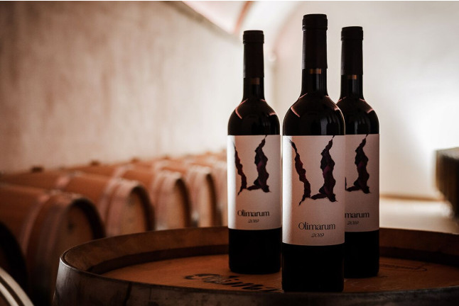 Visita a Bodegas Olimarum con Cata de Vino y Aperitivo para dos (Canalejas de Peñafiel, Valladolid)