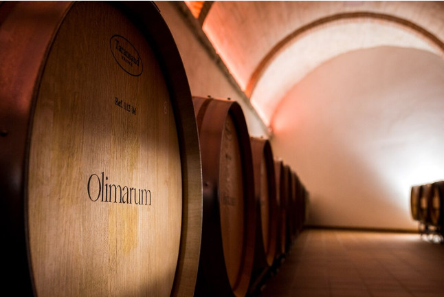 Visita a Bodegas Olimarum con Cata de Vino y Aperitivo para dos (Canalejas de Peñafiel, Valladolid)