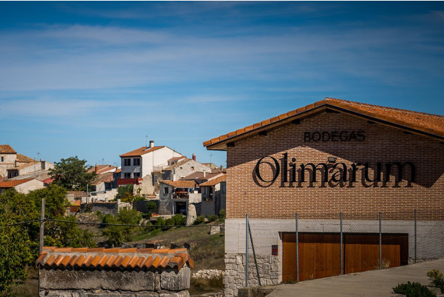 Visita a Bodegas Olimarum con Cata de Vino y Aperitivo para dos (Canalejas de Peñafiel, Valladolid)