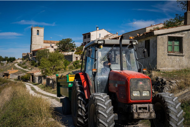 Visita a Bodegas Olimarum con Cata de Vino y Aperitivo para dos (Canalejas de Peñafiel, Valladolid)