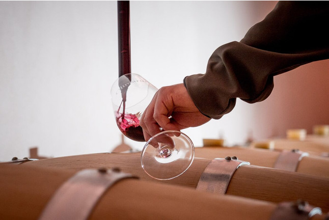 Visita a Bodegas Olimarum con Cata de Vino y Aperitivo para dos (Canalejas de Peñafiel, Valladolid)