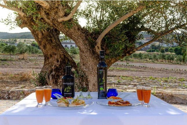 Visita a Almazara Olivares de Altomira con Cata de AOVE para dos (Vellisca, Cuenca)
