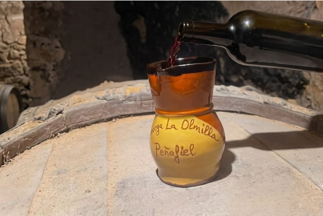 Visita Teatralizada, Degustación de Vino en Jarrillo de Barro y Aperitivo para dos en Bodega La Olmilla (Peñafiel, Valladolid)