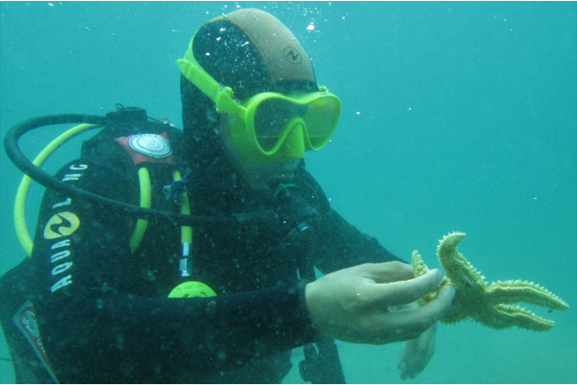 Curso de Iniciación de Buceo Open Water Diver (Lugo)