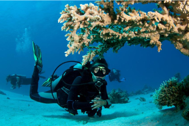 Curso de Buceo Open Water Diver (Tarragona)