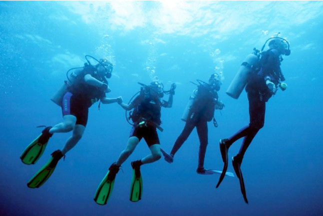 Curso de Buceo Open Water Diver (Tarragona)